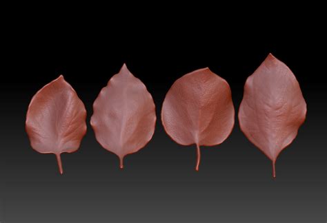 Artstation Leaf 3d Model Leaf Brush Zbrush Brush 3d Printed Leaves