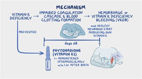 Vitamin K Deficiency