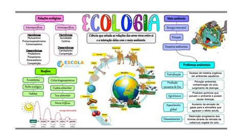 Mapa Mental Sobre Sustentabilidade E Meio Ambiente - brebadimapa