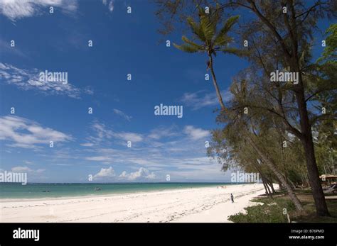 Diani Beach Near Mombasa Kenya Stock Photo Alamy