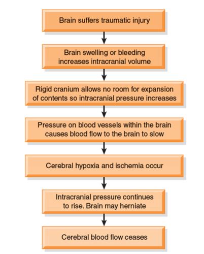 Nur258 Chapter 63 Management Of Patients With Neurologic Trauma Flashcards Quizlet