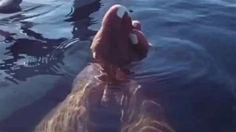 All Dat Azz Pt Nipples Nipples Porn Xhamster