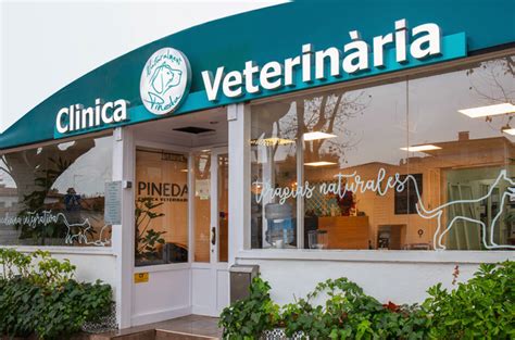 Hospital Veterinario En Medellin Los Mejores En