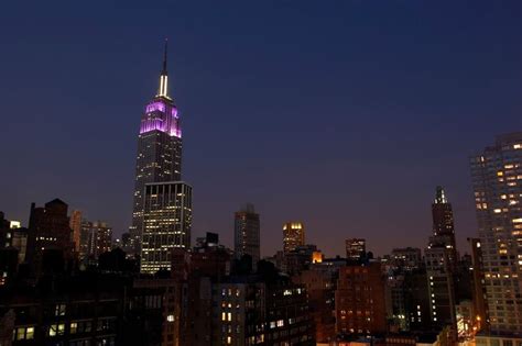nyu robert  wagner graduate school  public service  linkedin