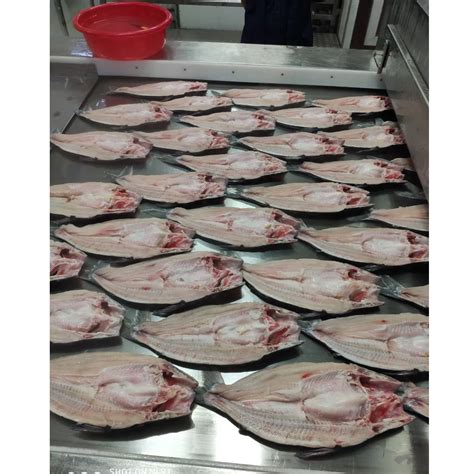 Frozen Pangasius Basa Well Trimmed Fillet For China Market Gr Up Iqf