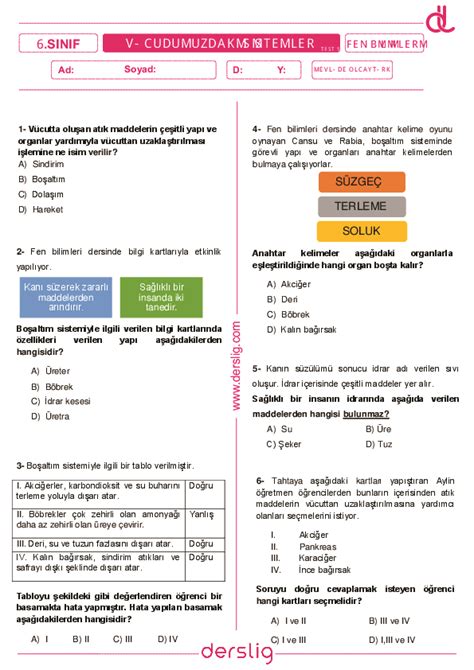 6 Sınıf Fen Bilimleri Vücudumuzdaki Sistemler Test 5 Yaprak Test Derslig