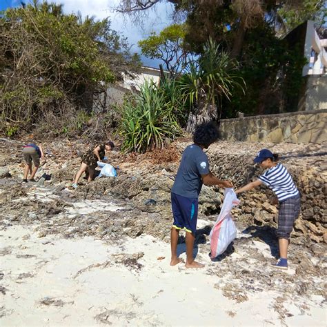 Primate Conservationists | Volunteer in Kenya 2026