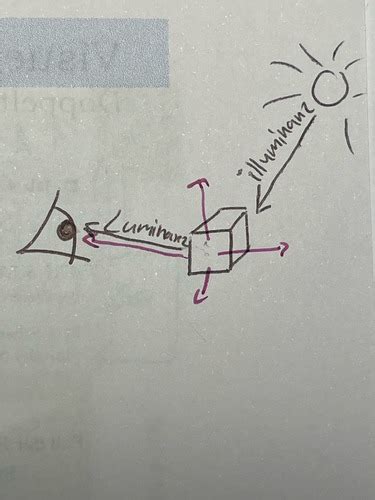 Visuelle Wahrnehmung Flashcards Quizlet