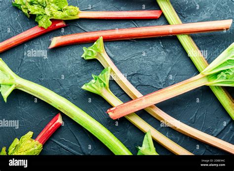 Fresh Red Rhubarb Stalks With Green Leavesfresh Rhubarb Stem Stock