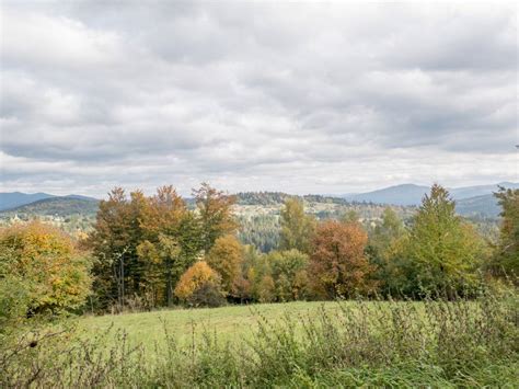 Zielony szlak rowerowy nr 238 Kamesznica Laliki Śląs