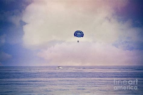 Up And Away Photograph By Mary Machare Fine Art America