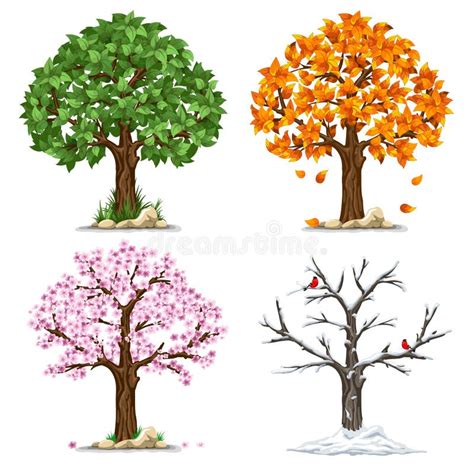 Four Seasons Tree Spring Summer Autumn Winter Stock Vector