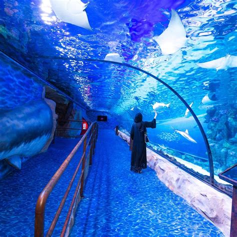 Dubai Underwater Zoo