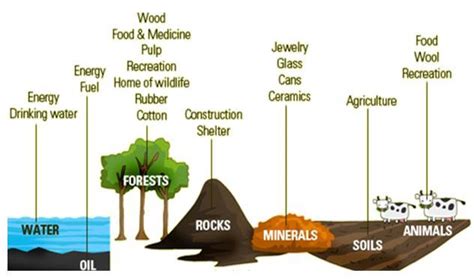 Natural Resources|Types of Natural Resources|Renewable & Non Renewable