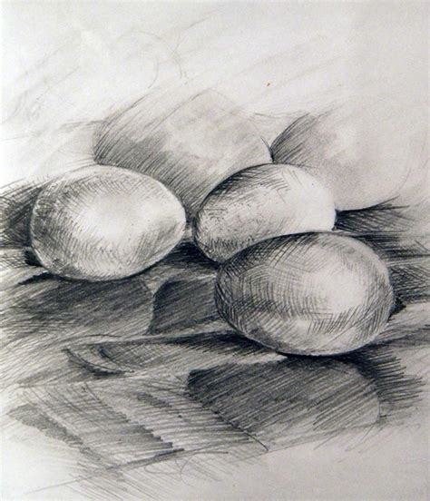 Eggs Pencil Drawing