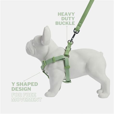 Designer Dog Collars Leads And Harnesses Barc London