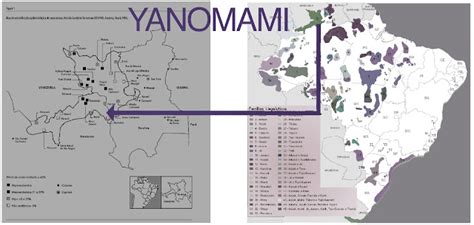 Povos Indígenas Brasileiros Yanomami