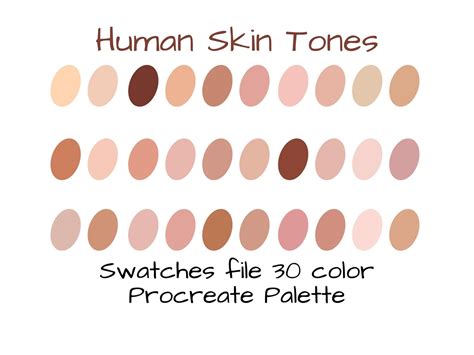 Human Skin Tones Procreate Palette Procreate Color Palette