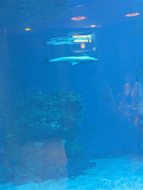 Disney Aquarium 220 By Murderinklastresort On Deviantart