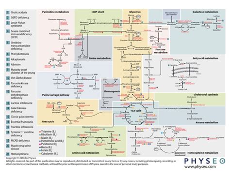 6 Biochemistry Map | PDF | Natural Products | Biochemistry