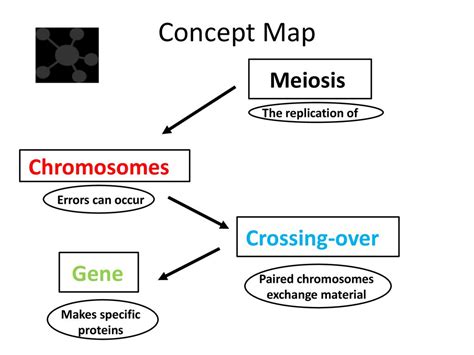 How Do External Factors Change An Organism S Genes To Affect Their