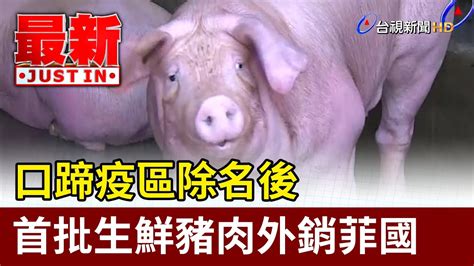 口蹄疫區除名後 首批生鮮豬肉外銷菲國【最新快訊】 Youtube