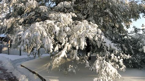 Wintergreen: Snow Falls Overnight In Nelson County, Virginia Mountains ...