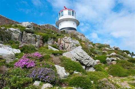 Cape Floral Region Protected Areas Unesco World Heritage Site