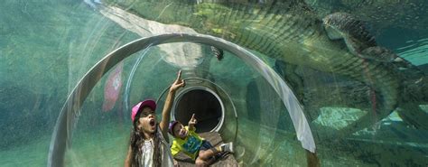 Zoo Miami general admission tickets | musement