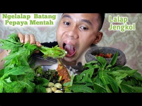 LALAPAN BATANG DAUN PEPAYA JENGKOL MUDA SAMBAL TERASI YouTube