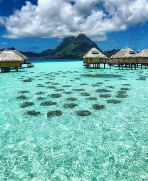 Bora Bora Todos Los Consejos Para Visitar La Isla Hoteles En