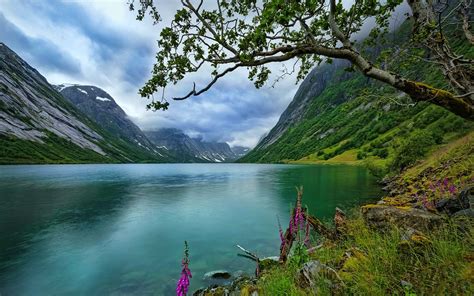 Hintergrundbilder Bäume Landschaft See Wasser Natur Betrachtung