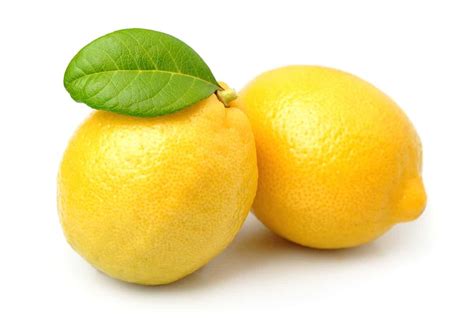 Best 20 Lemon Varieties Sweet Large And Rare High Yield Cultivars