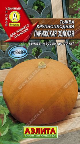 Тыква Парижская золотая. АЭЛИТА