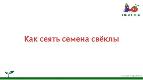 Как сеять семена свёклы - YouTube