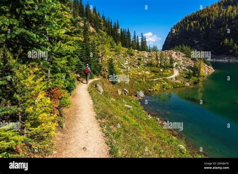 Hiker On The Beehive Trail At Lake Agnes Banff National Park Alberta