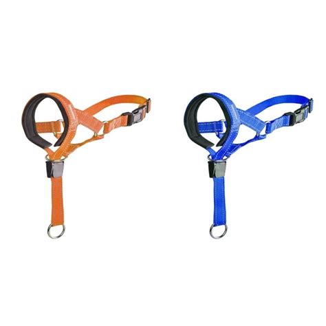 Dog Head Halter With Safety Strap Stops Heavy Pulling On The Leash