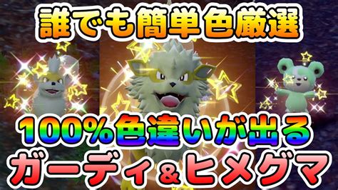 【色厳選】色違いガーディやヒメグマの簡単な色厳選場所はココ！大量発生無しでも大量発生！！【ポケモンsv】 Youtube