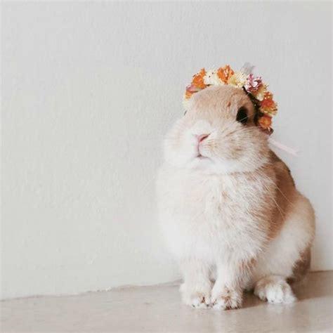 The Blush Blonde Friday Favorites