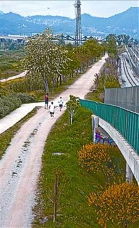 Cientos de personas acuden al río a hacer deporte