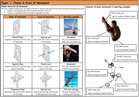 Gcse Pe Aqa 9 1 Planes And Axes Of Movement Knowledge Organiser