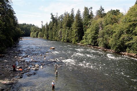 The Art Of Steelheading For The Novice Island Fisherman Magazine