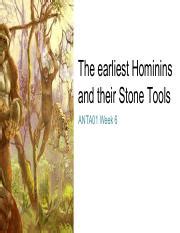 The Earliest Hominins And Stone Tools Uncovering The Secrets Of