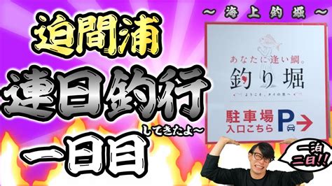 【海上釣堀】迫間浦 連日釣行1日目、あなたに逢い鯛。釣り堀！泊ったお宿も少しご紹介！！ Youtube