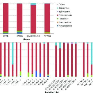 Relative Abundance Of The Most Prevalent Allochthonous Bacterial