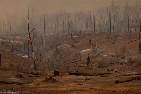 California S Oak Fire Still Contained Firefighters Battle