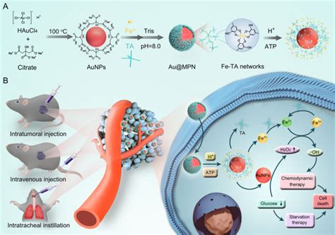 Dual Responsive Disassembly Of Core Shell Nanoparticles With Self