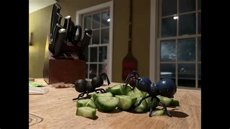 Stop Motion Animation Project Ants Marching Youtube