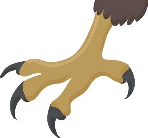 Claws Png Pic Png Mart