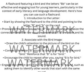 Bird Flashcard Activities by Belinda Torres | TPT